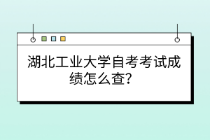 湖北工业大学自考考试成绩怎么查?