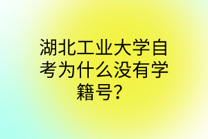 湖北工业大学自考为什么没有学籍号?
